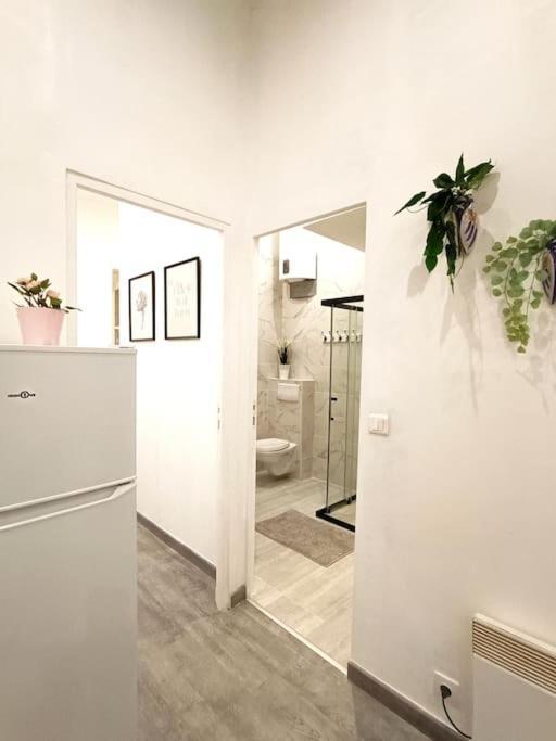 Appartement Gare Saint Charles مارسيليا المظهر الخارجي الصورة